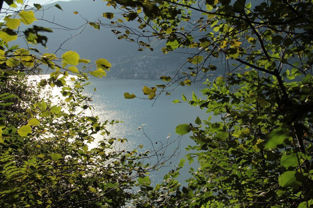 Bed and Breakfast Casa Filomena Faggeto Lario Exterior foto